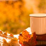 Cup, books, blanket and maple orange leaf on the street. Side view