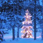 118-1188155_the-snow-on-the-tree-christmas-hd-wallpaper