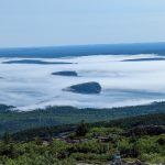 Acadia Isl Mist Cad